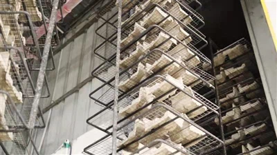 Προοπτικές για τη βιομηχανία συσκευασίας του Ηνωμένου Βασιλείου: Τάσεις, προκλήσεις και μελλοντικ...